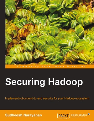 Securing Hadoop