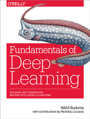 Fundamentals of Deep Learning