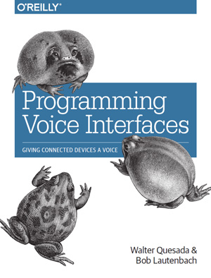 Programming Voice Interfaces