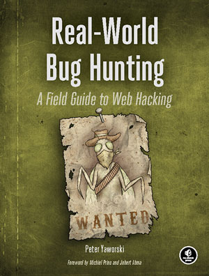 Real-World Bug Hunting