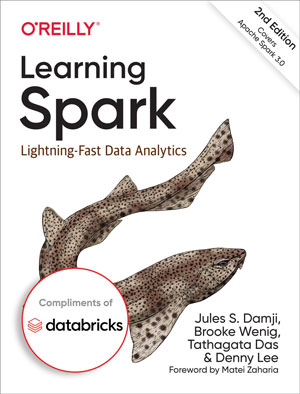 Learning Spark, 2nd Edition