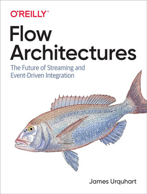 Flow Architectures