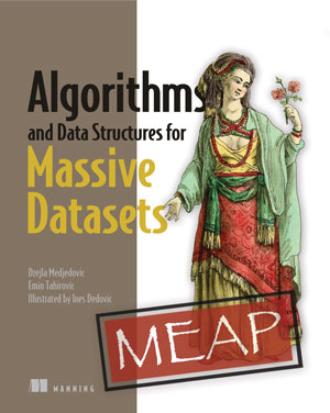 Algorithms and Data Structures for Massive Datasets, MEAP Edition, Version 3