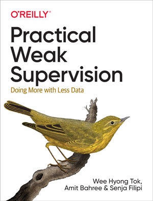 Practical Weak Supervision