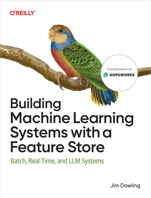 Building Machine Learning Systems with a Feature Store
